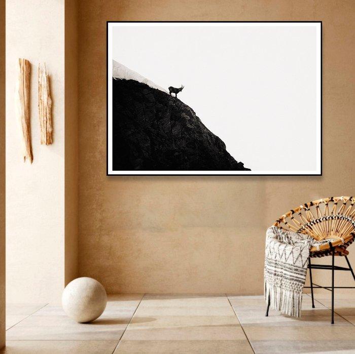 Roberto Cavalli (1971) - Into the wild #611, Antiek en Kunst, Kunst | Designobjecten