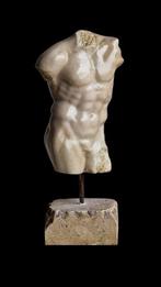 sculptuur, Torso Greco - Romano - 4.700 kg - 37 cm -