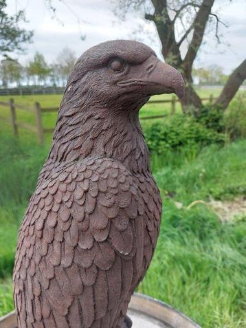 Statue, XXL beeld adelaar - 60 cm - pierre moulée