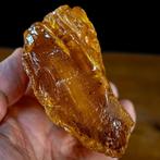 Zeer zeldzame natuurlijke Amber Raw met insecten Rusland,, Verzamelen, Mineralen en Fossielen
