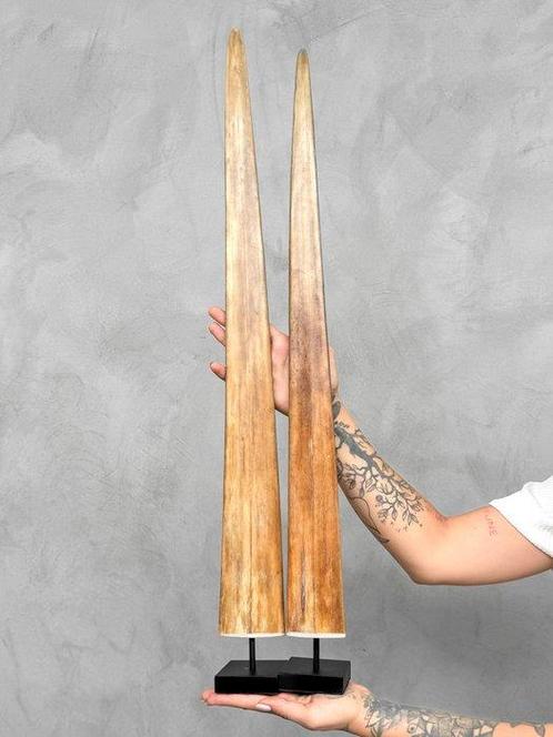 GEEN MINIMUMVERKOOPPRIJS - Een paar grote zwaardvis-rostrums, Antiek en Kunst, Kunst | Designobjecten