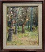 Joan Raimon Palaujuncà (1968) - Entre los árboles