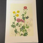 Shunichi Kadowaki - Shunichi Kadowaki – Soka Hyakuten (100