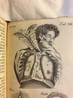 Thomas Gibson - The Anatomy of Humane Bodies Epitomized -