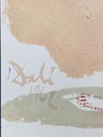 Salvador Dali (1904-1989) - Noe Qui Primus Plantavit Vineam, Antiek en Kunst