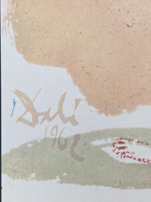 Salvador Dali (1904-1989) - Noe Qui Primus Plantavit Vineam, Antiquités & Art, Antiquités | Autres Antiquités