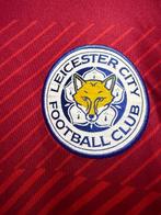 leicester city - Engelse voetbalcompetitie - 2016 -