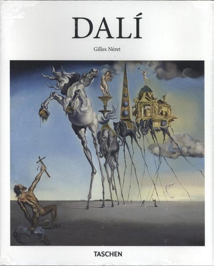 Dali basismonografie 9783836560023 Gilet Néret, Boeken, Kunst en Cultuur | Beeldend, Zo goed als nieuw, Verzenden