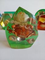 No reserve price! - Presse-papier (8) - Hars/polyester, Nieuw