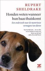 Honden weten wanneer hun baas thuiskomt 9789021583846, Boeken, Verzenden, Zo goed als nieuw, R. Sheldrake