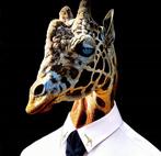 Bonaschi (1959) - Poltrona n°121221