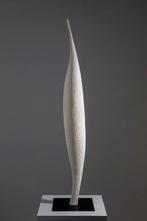 Riccardo Masini - Evidenti Problemi Organici