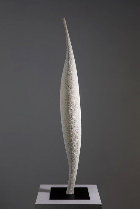 Riccardo Masini - Evidenti Problemi Organici, Antiek en Kunst, Kunst | Designobjecten