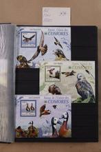 Wereld 1945/2010 - Lot motief vogels in 3 stockboeken + 1, Gestempeld