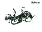Kabelboom BMW F 800 R 2009-2014 (F800R) (7701246), Motoren, Verzenden, Gebruikt
