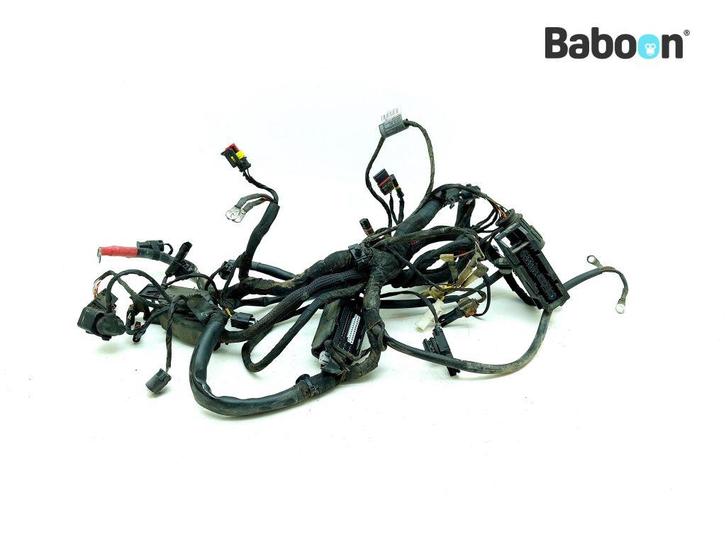 Kabelboom BMW F 800 R 2009-2014 (F800R) (7701246), Motoren, Onderdelen | BMW, Gebruikt, Verzenden