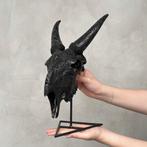 Geen minimumprijs - Met de hand gesneden zwart geitenhoofd, Antiek en Kunst