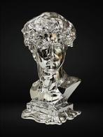 GF Exclusives - Chrome David Bust Artwork By: GF Exclusives
