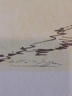 André Masson (1896-1987) - André Masson. Titolo: puberte