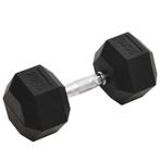 vidaXL Halters 20 kg gietijzer, Sport en Fitness, Verzenden, Nieuw