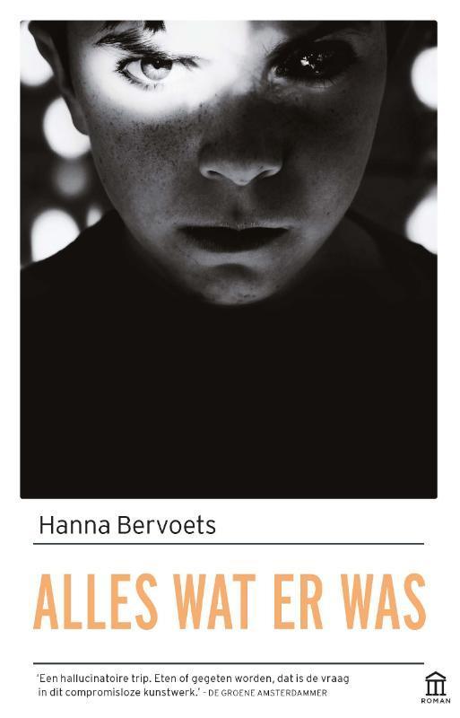 Alles wat er was 9789046705728 Hanna Bervoets, Boeken, Romans, Zo goed als nieuw, Verzenden
