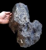 Campo del Cielo-meteoriet. ENORM !!! - 78.2 kg