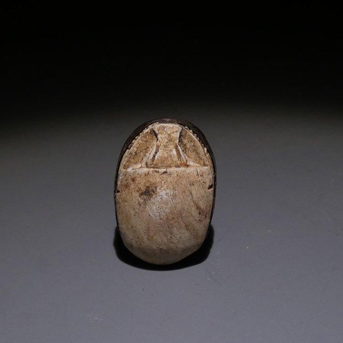 Oud-Egyptisch Speksteen, Goud scarab. 18 mm L. Late Periode,, Collections, Minéraux & Fossiles