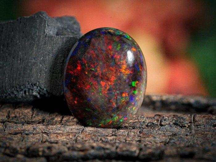 Opaal Negro de fuego multicolor - 5,15Ct - Lightning Ridge-, Verzamelen, Mineralen en Fossielen