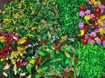 Lego - Speelgoed Mega bulk Leaves and flower mix 8 (1050g), Kinderen en Baby's, Nieuw