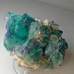 Fluorine Cristaux verts fantasmés - Hauteur : 7 cm - Largeur