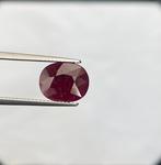 Zonder Minimumprijs - 1 pcs  Rood Robijn  - 5.66 ct - Lotus, Handtassen en Accessoires, Edelstenen, Nieuw