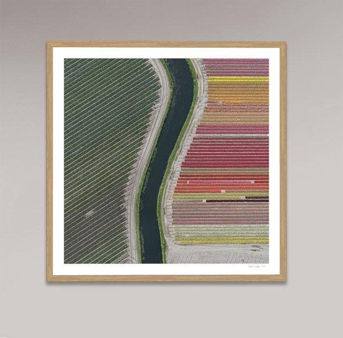 Bernhard Lang - AV_Tulip_Fields_027, Antiek en Kunst, Kunst | Designobjecten