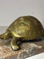 Statue, Schildpad - 6 cm - Laiton, Antiek en Kunst