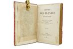Louis Figuier / Faguet - Histoire des Plantes - 1865