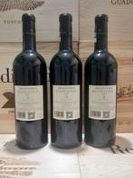 2021 Argentiera - Bolgheri Superiore - 3 Flessen (0.75, Verzamelen, Wijnen, Nieuw