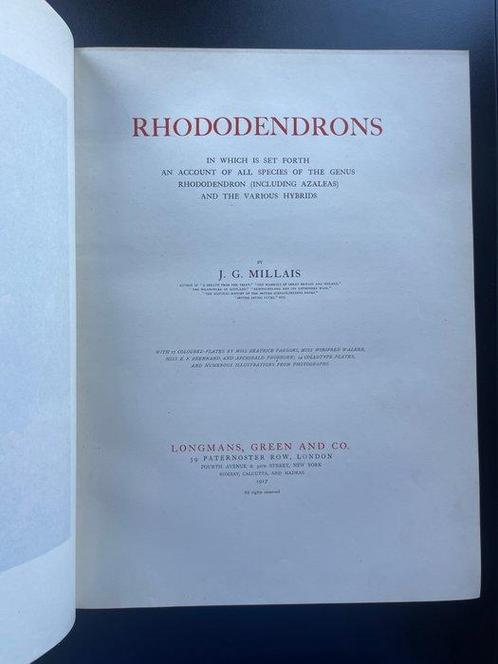 J.G Millais - Rhododendrons (#445/550) - 1917, Antiek en Kunst, Antiek | Boeken en Manuscripten
