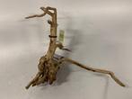 Driftwood Selected DW24 - 39x34x16cm (Small drift wood), Ophalen of Verzenden, Nieuw, Plant(en), Steen of Hout