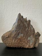 Wolharige mammoet - Fossiele kies - Dent fossile - 17.5 cm -, Verzamelen, Mineralen en Fossielen