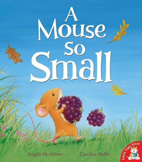 Mouse So Small 9781848691322 Angela McAllister, Boeken, Overige Boeken, Gelezen, Verzenden