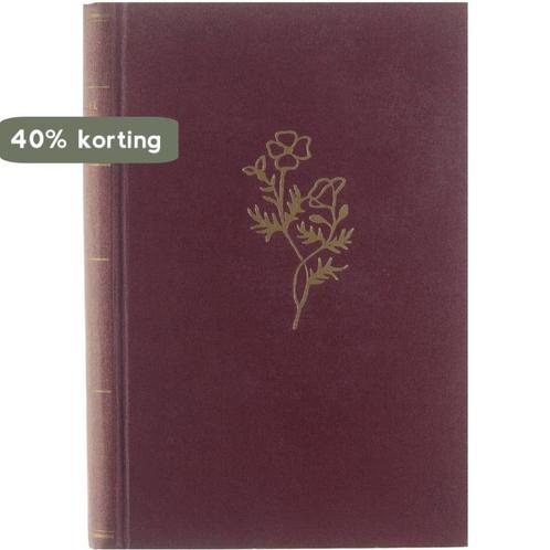 Beek 9789055153084 Brock Clarke, Boeken, Romans, Gelezen, Verzenden