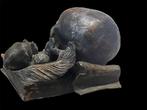 sculptuur, Vanitas - 2 kg - 20 cm - Klei, Antiek en Kunst