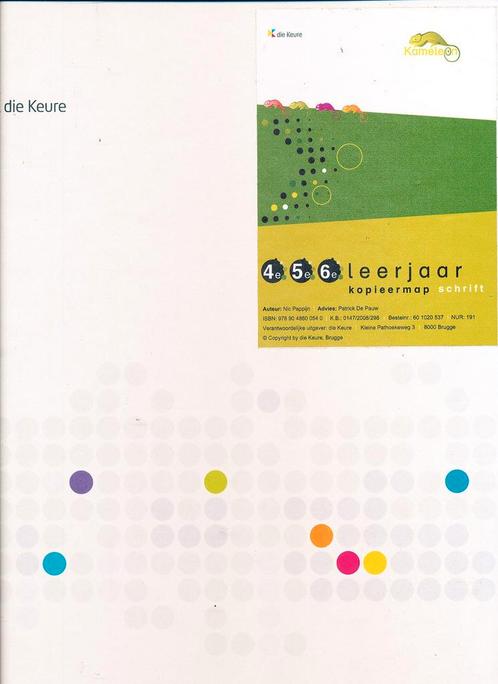 Kameleon Kopieermap Schrift 4e, 5e en 6e leerjaar, Boeken, Schoolboeken, Verzenden