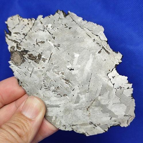Ijzeren meteoriet Nantan (China, 1516) SLICE, met, Verzamelen, Mineralen en Fossielen