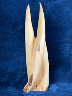 Diego Barricella - Axis Mundi (lasse che unisce terra e