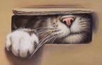Gala - Cat animal painting - FRAGILE