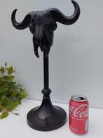 ram Schedel van een zoogdier - geen idee - 42 cm - 22.5 cm -