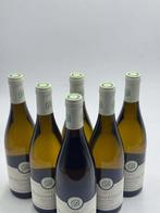 2023 Domaine Francoise André - Bourgogne Côte-dOr - 6, Nieuw