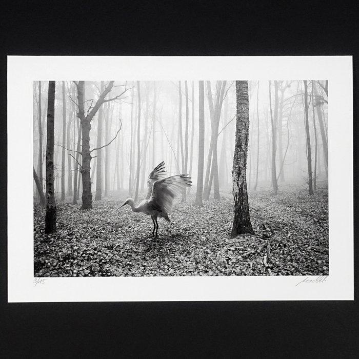 Frank Machalowski - tierwald#176, Antiek en Kunst, Kunst | Designobjecten