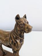 sculptuur, Alano - 17 cm - Brons