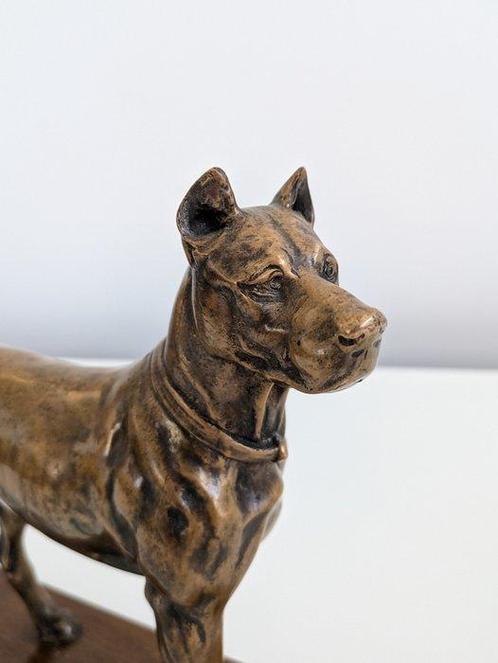 sculptuur, Alano - 17 cm - Brons, Antiek en Kunst, Antiek | Keramiek en Aardewerk